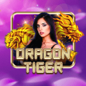 Dragon Tiger at mgame live casino